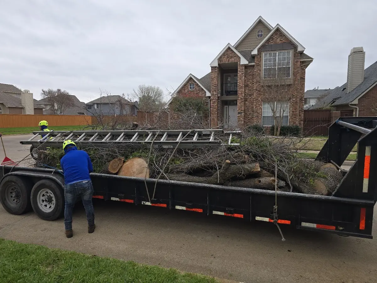 Expert Crown Reduction with proper safety equipment in Derrick City